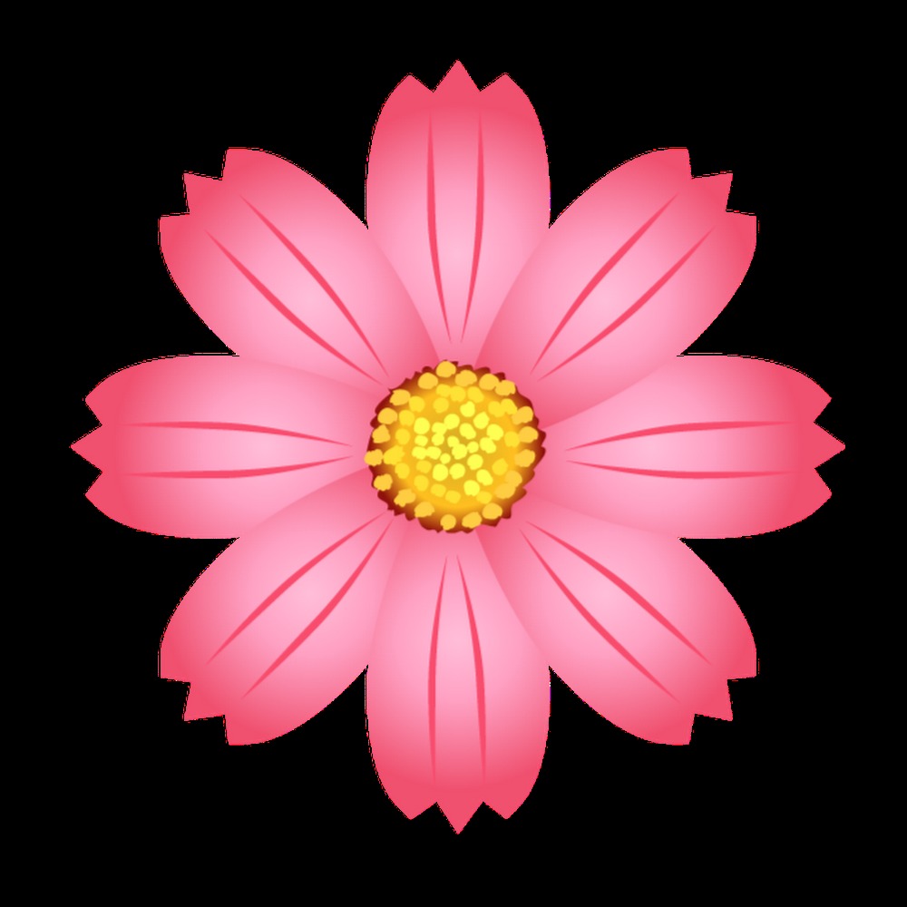 Meet your Posher, Dora